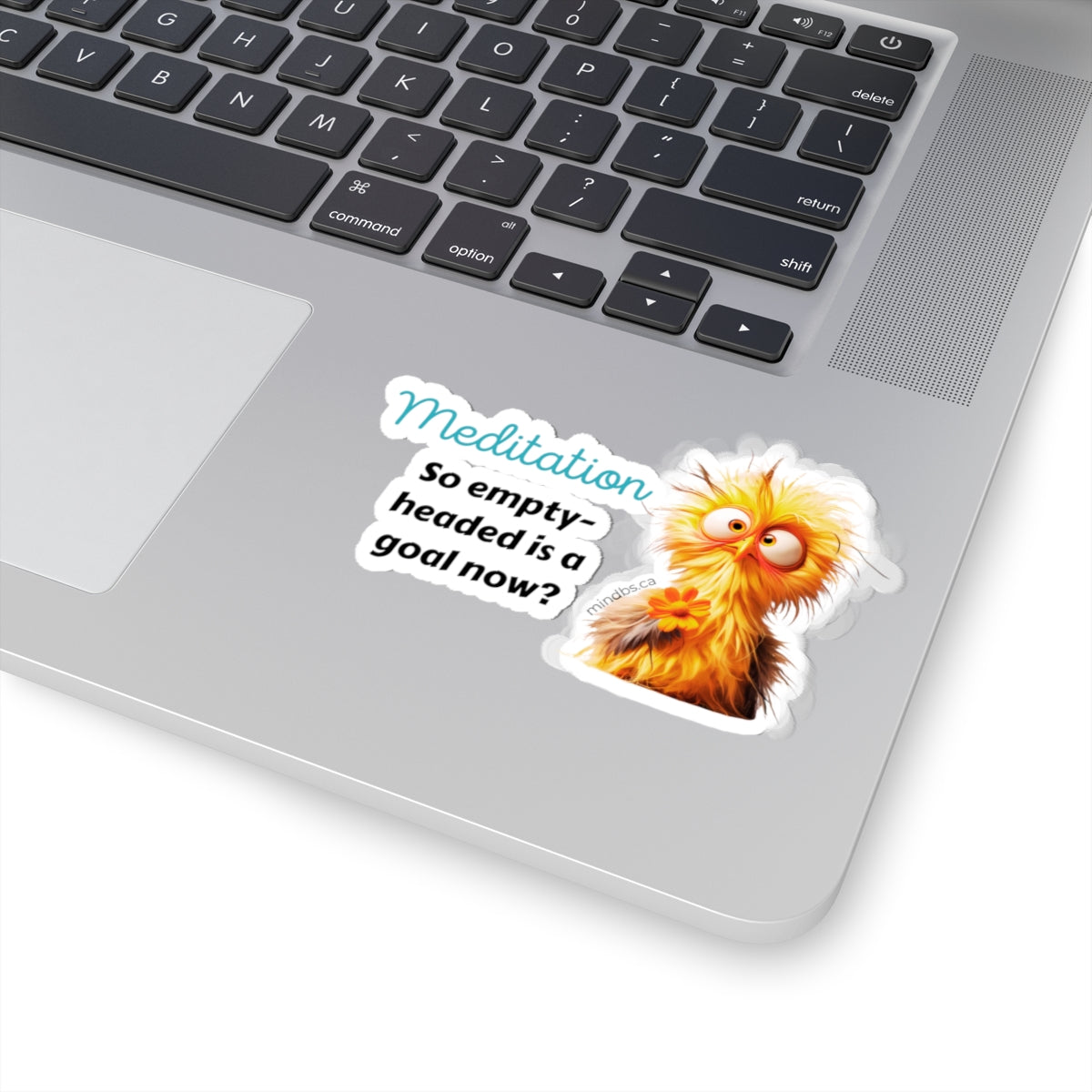 Meditation - so empty headed is a goal now? Whimsical Bird Stickers, Fun Laptop Decals, Quirky Wall Decor, Party Favors, Creative Gift for Kids and Adults