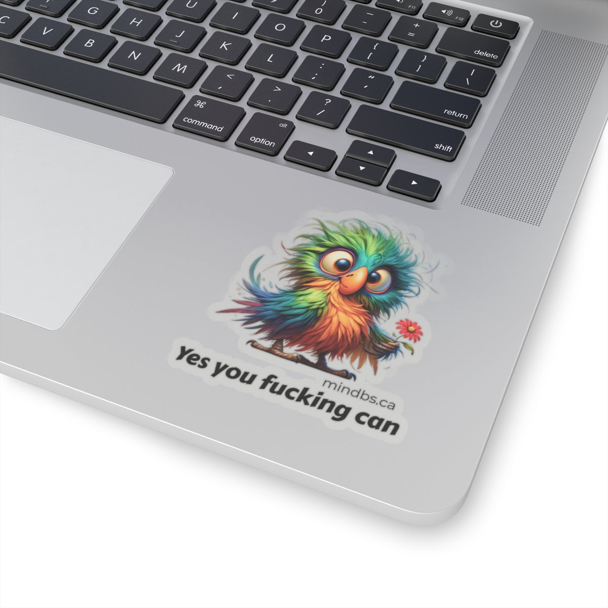 Yes you F*ing Can! Kiss-Cut Stickers with Vibrant Bird Design - Perfect for Laptop, Water Bottle, Phone - Motivational Gift, Fun Decor, Cute Art